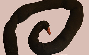 cisne.jpg