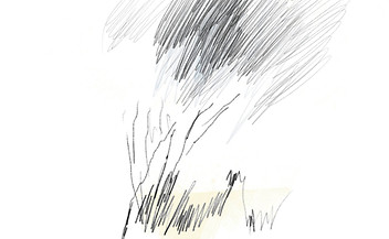 lluvia exterior.jpg