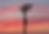 Directional street signs silhouette during sunset