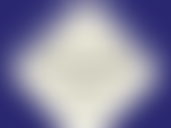 Professionalizing your Leadership Team