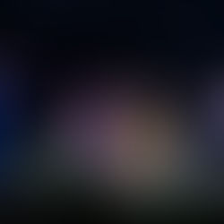 Powerful Butterflies at Northwestern’s Wirtz