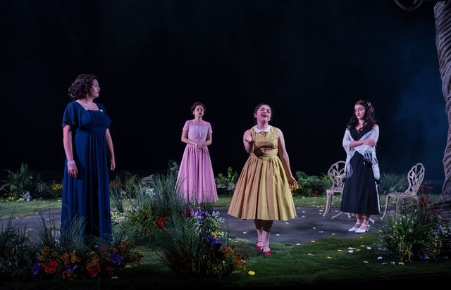 Powerful Butterflies at Northwestern’s Wirtz