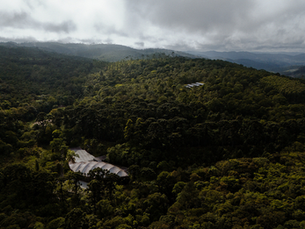 Hotel fazenda ecológico em Ibiúna, experiências imersivas na Mata Atlântica em SP no Hotel Fazenda Morros Verdes.