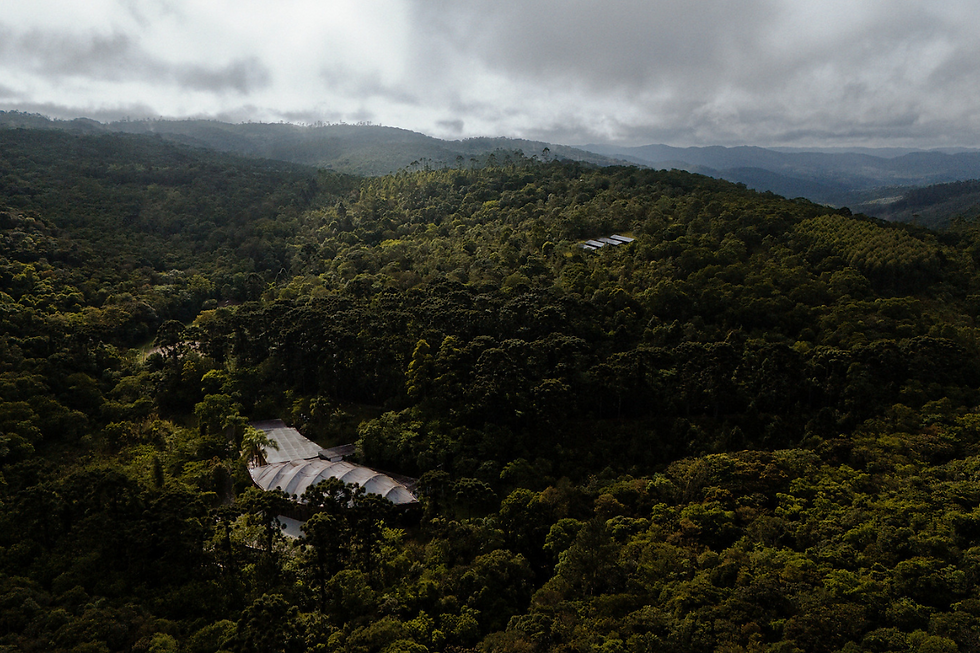 Hotel fazenda ecológico em Ibiúna, experiências imersivas na Mata Atlântica em SP no Hotel Fazenda Morros Verdes.
