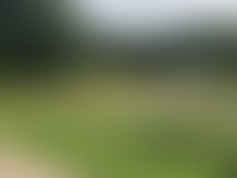 Alter Falter ‒ Was geht in der Wiese?! Alle können mitmachen bei der FLIP-Wiesen-Analyse