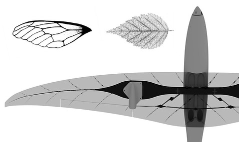 3d printed wing biomicry