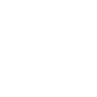 perdigao.png
