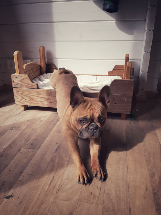 Pini bei der Arbeit
