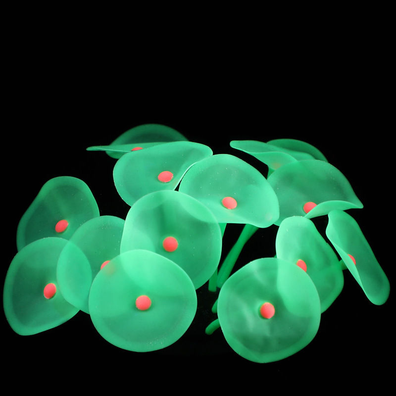 fluorescent coral and water grass for fish tanks