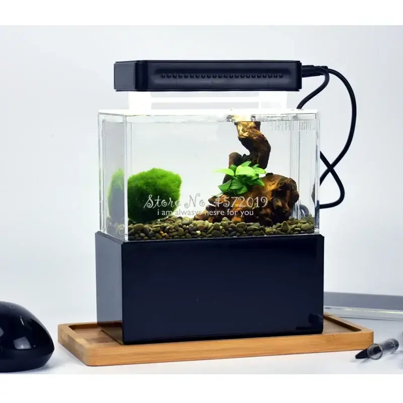Thumbnail: Mini Plastic Fish Tank