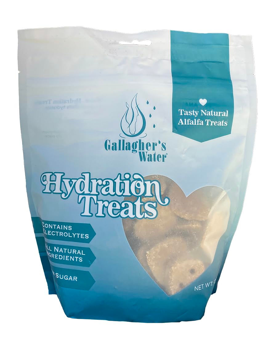 GALLAGHERS WATER Hydration Treats for Horses. Crunchy Tasty Treats with Electrol