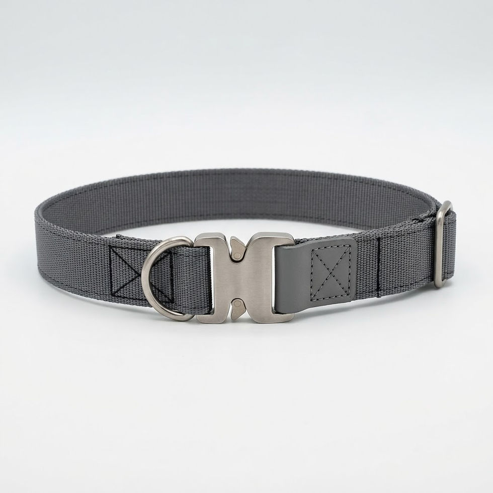 Rust-Proof - Dog Collar - Quick Release - Large - Gray - All About Your Animals