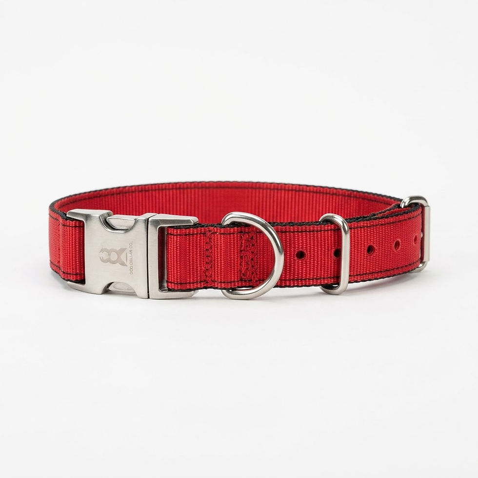 Stainless Steel - Dog Collar - Quick Release - Red - All About Your Animals