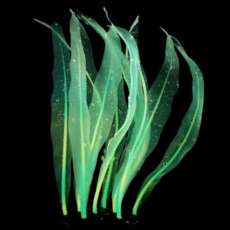 aquarium artificial kelp soft silicone plant move with water flows 7 inch high r