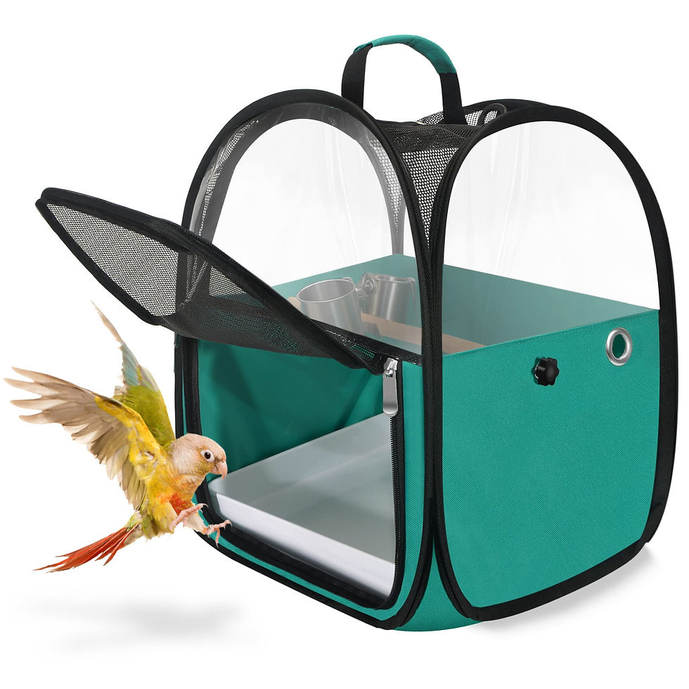 Bird Travel Carrier Foldable Bird Cage Parrot Cage with Two for birds