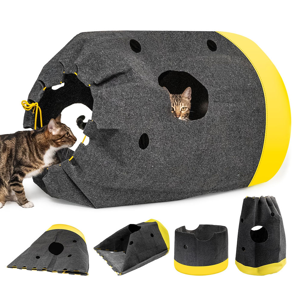 Cat Play Bag Collapsible Cat Activity Center Cat Activity for cats