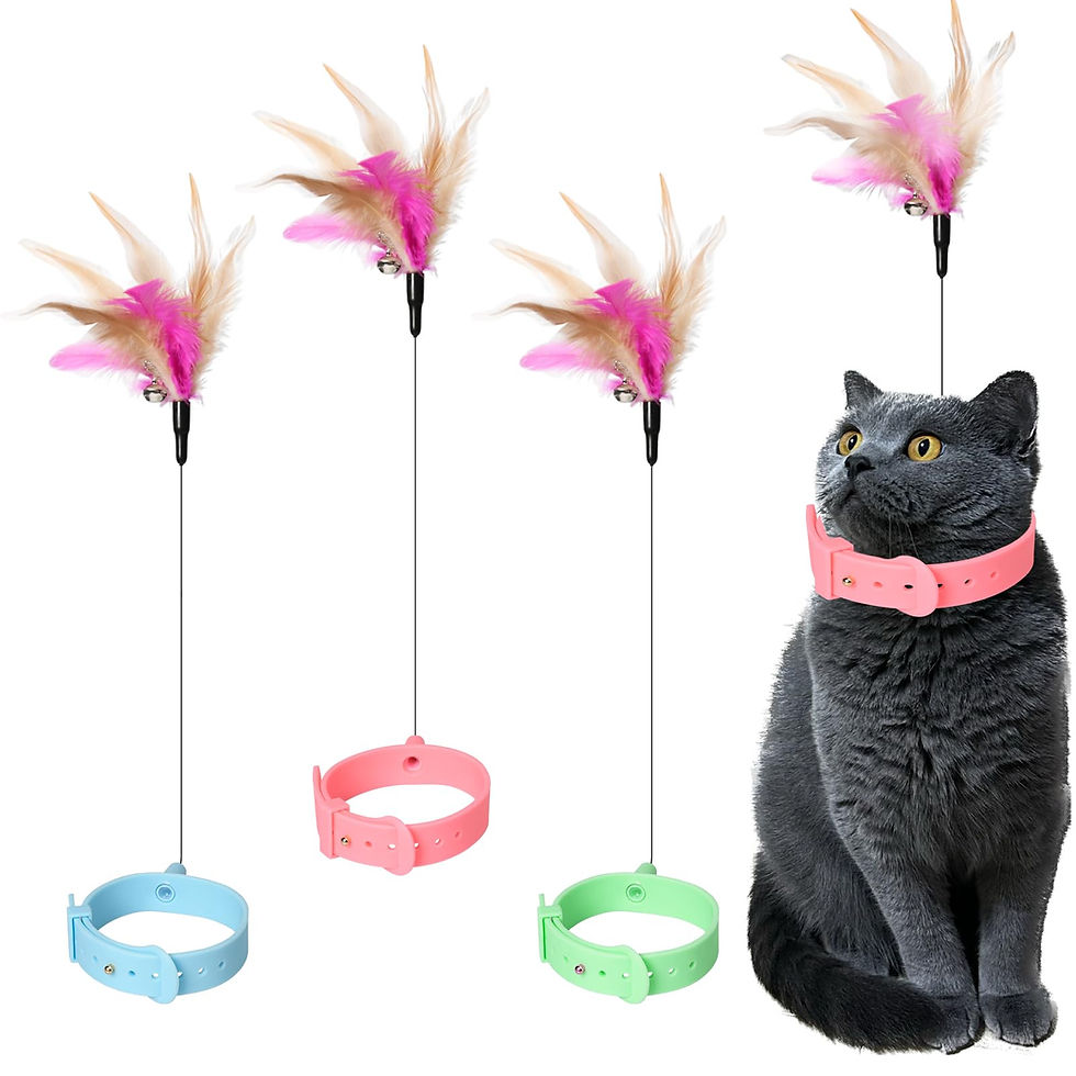 Pumwoy Cat Collars with Cat Feather Toys3pcs Interactive for cats