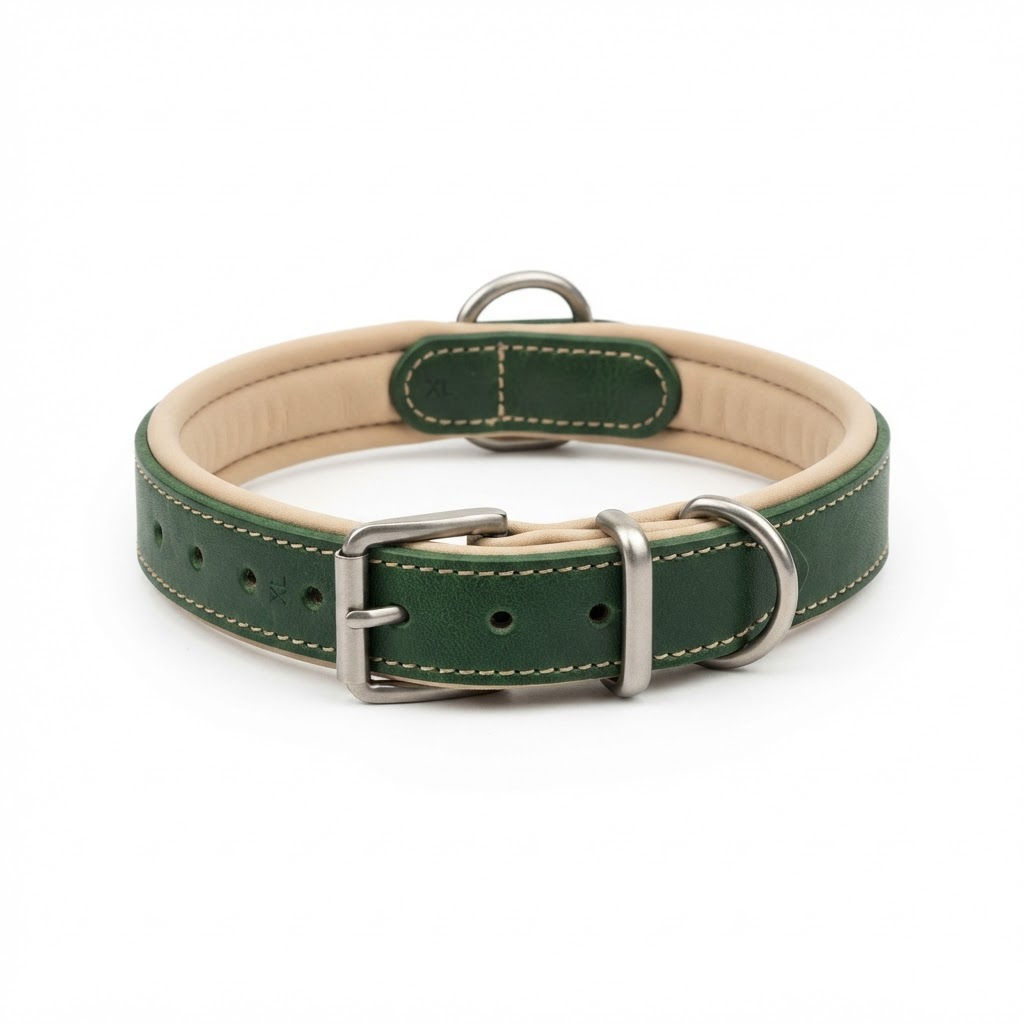 Classic - Dog Collar - Padded - XL - Green - All About Your Animals
