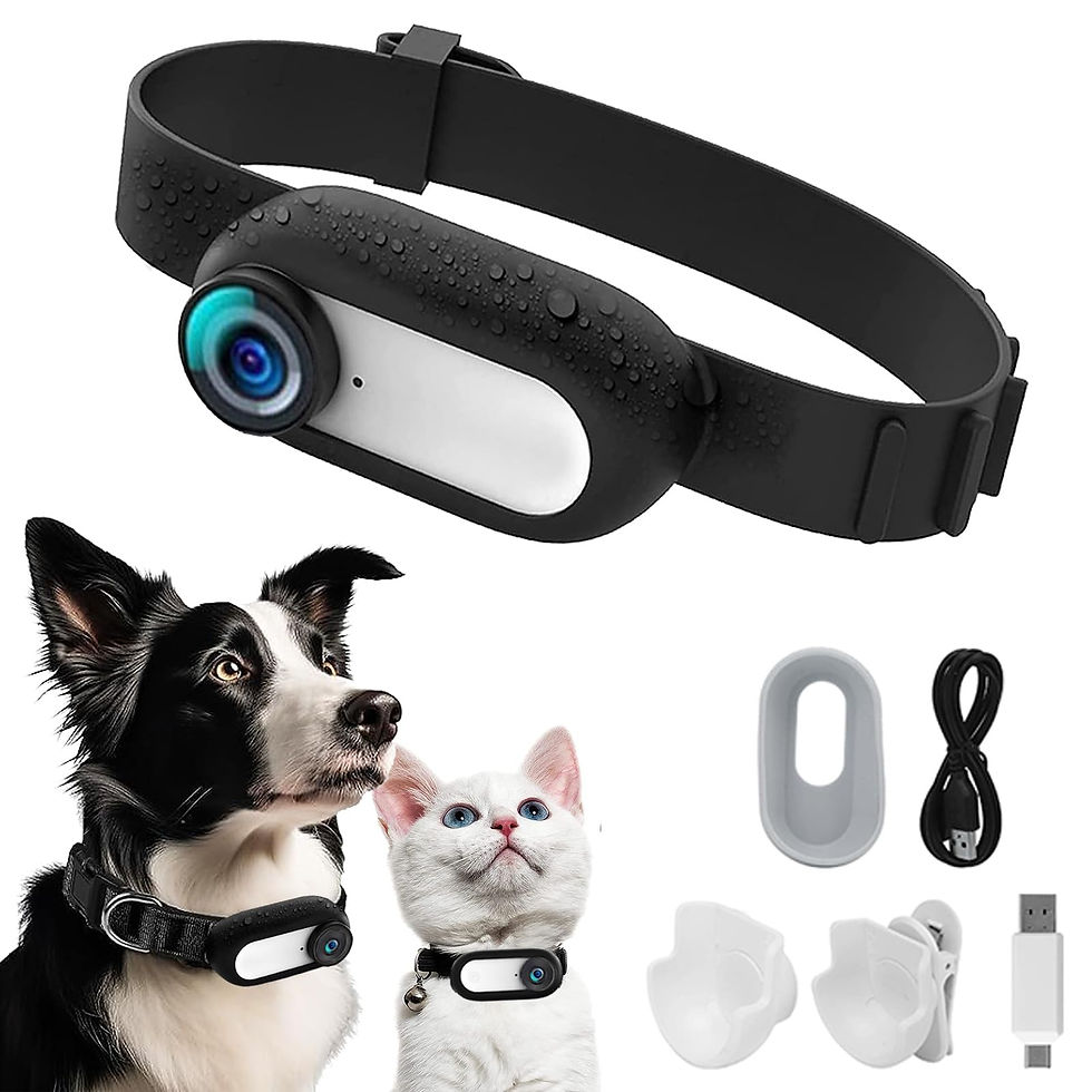 kestanlora hd 1080p cat camera collar with video record wireless mini sport cams