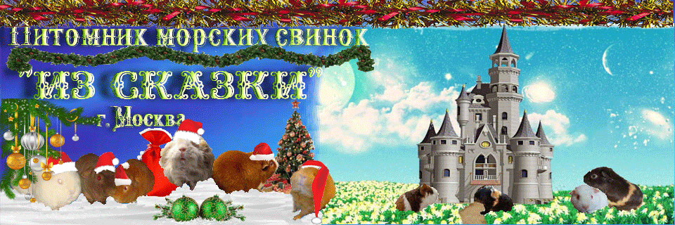 Новый-Год