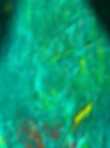 Teal.jpg