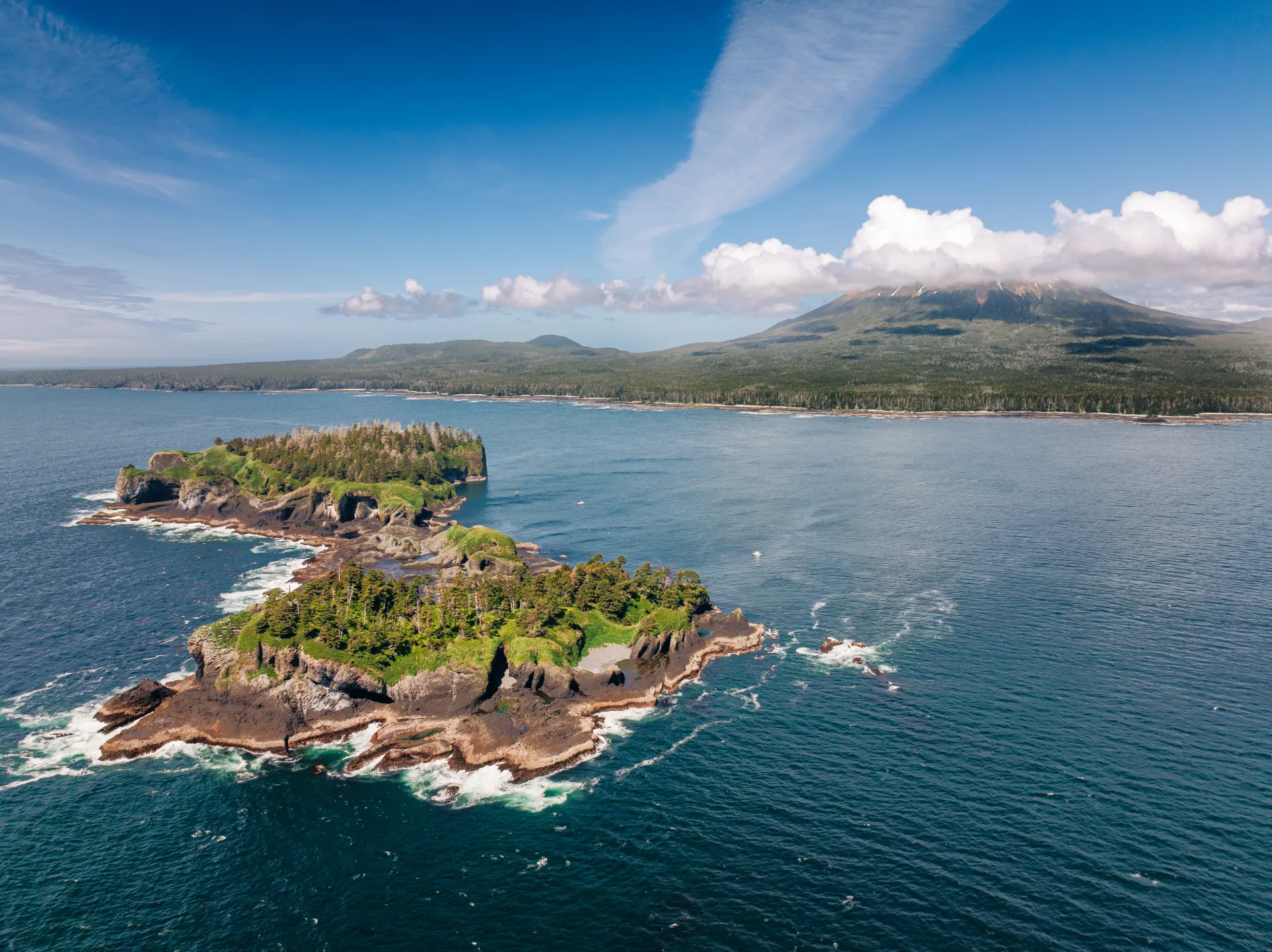 Coastal rainforest meeting the Pacific Ocean in Southeast Alaska