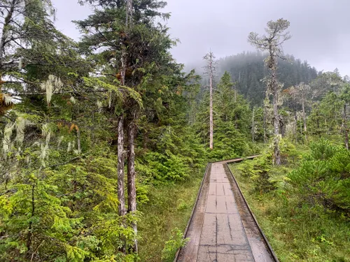 Muskeg Loop