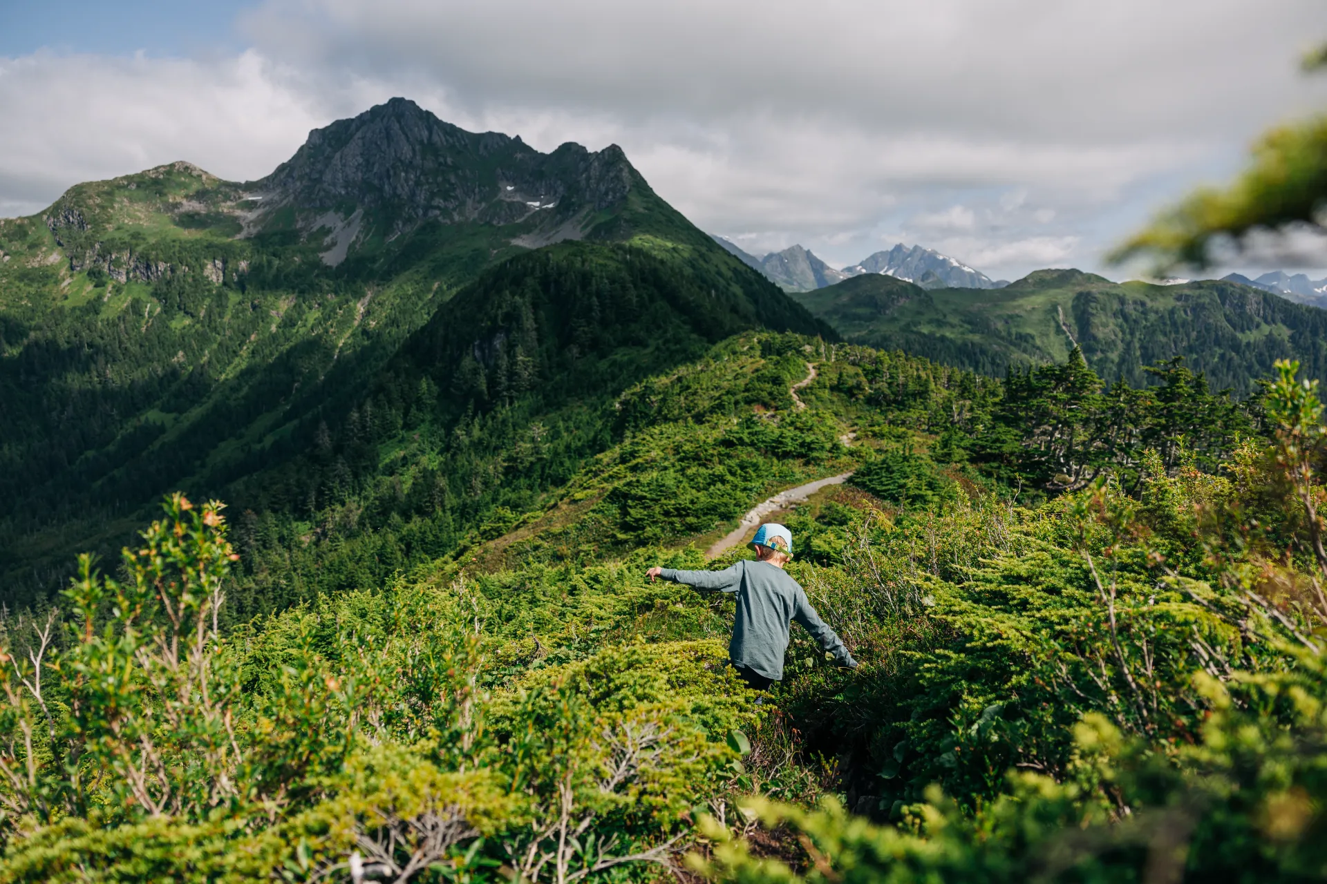 Private wildlife and hiking tour in the Tongass National Forest