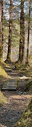 Private sightseeing and hiking tour in Sitka Alaska