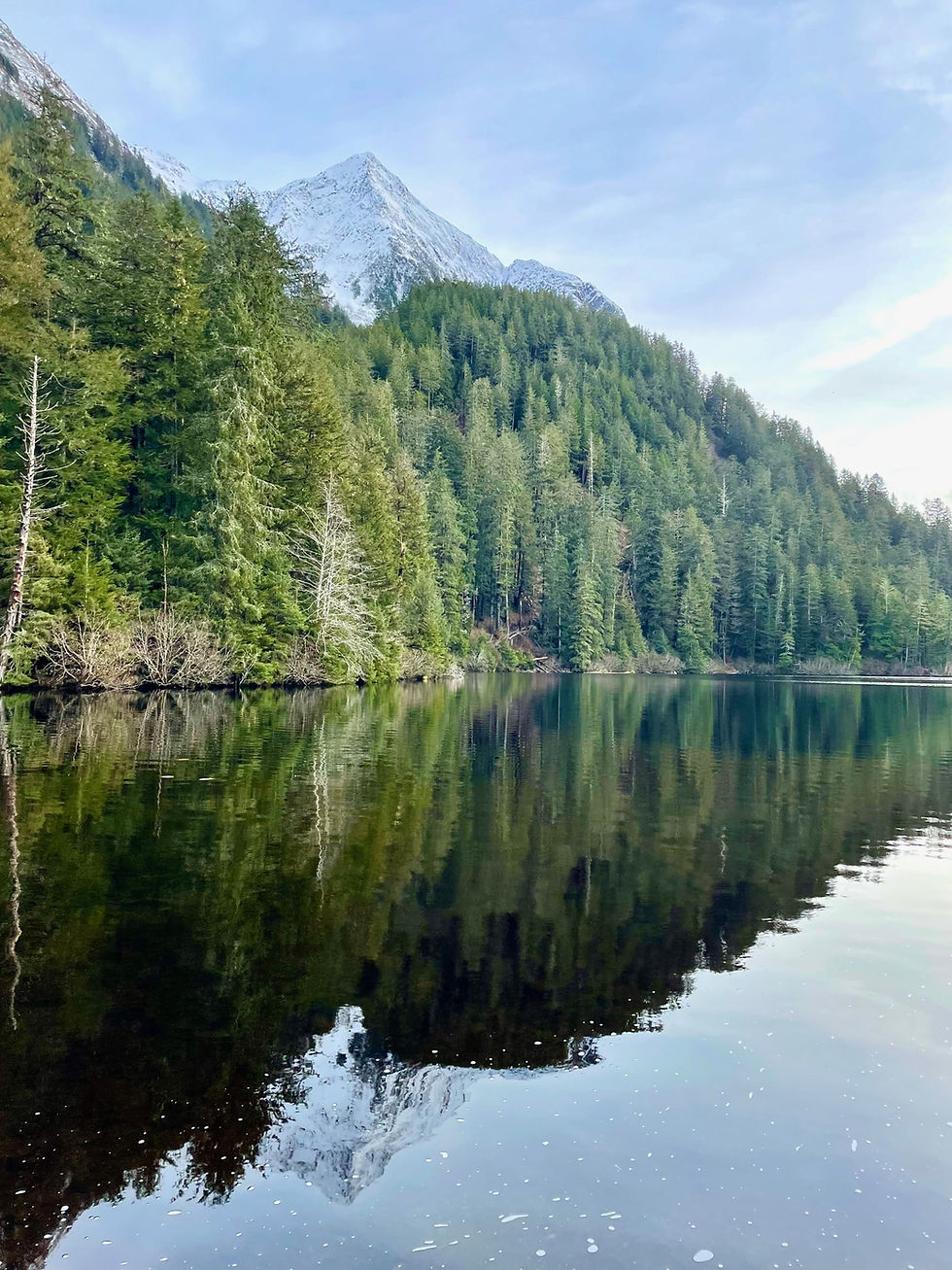 Trees reflecting on the water of Beaver Lake in Sitka, Alaska