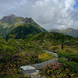 Sitka hiking tour featuring alpine scenery and panoramic views
