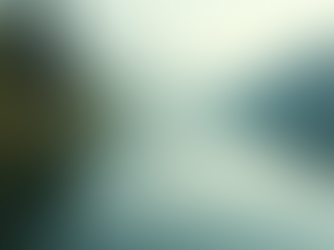 The Power of Mindfulness in Everyday Life