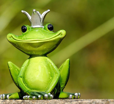 frog-2240764_1920.jpg