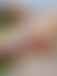 JALAPEÑO POPPER BURGARE