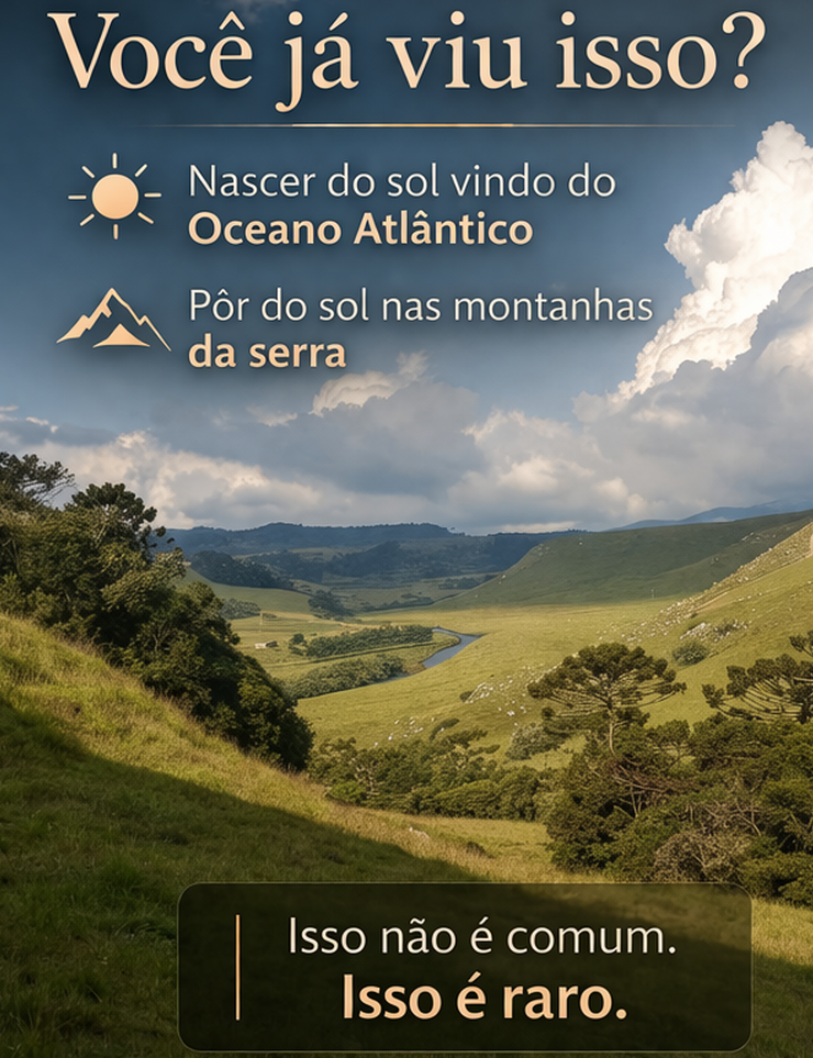 EDE34210-A408-48A4-804E-F84B82B69C97.PNG