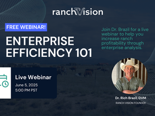 Watch Now: Enterprise Efficiency 101 Webinar with Dr. Rich Brazil