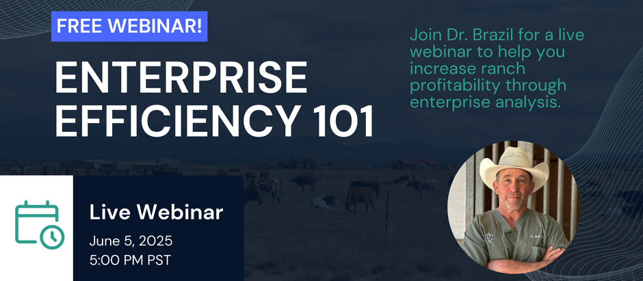 Watch Now: Enterprise Efficiency 101 Webinar with Dr. Rich Brazil