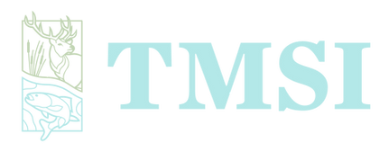 TM-Logo-Day-Initials-Alt.png