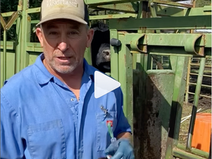 ASK DR. BRAZIL: How to Give an Epidural