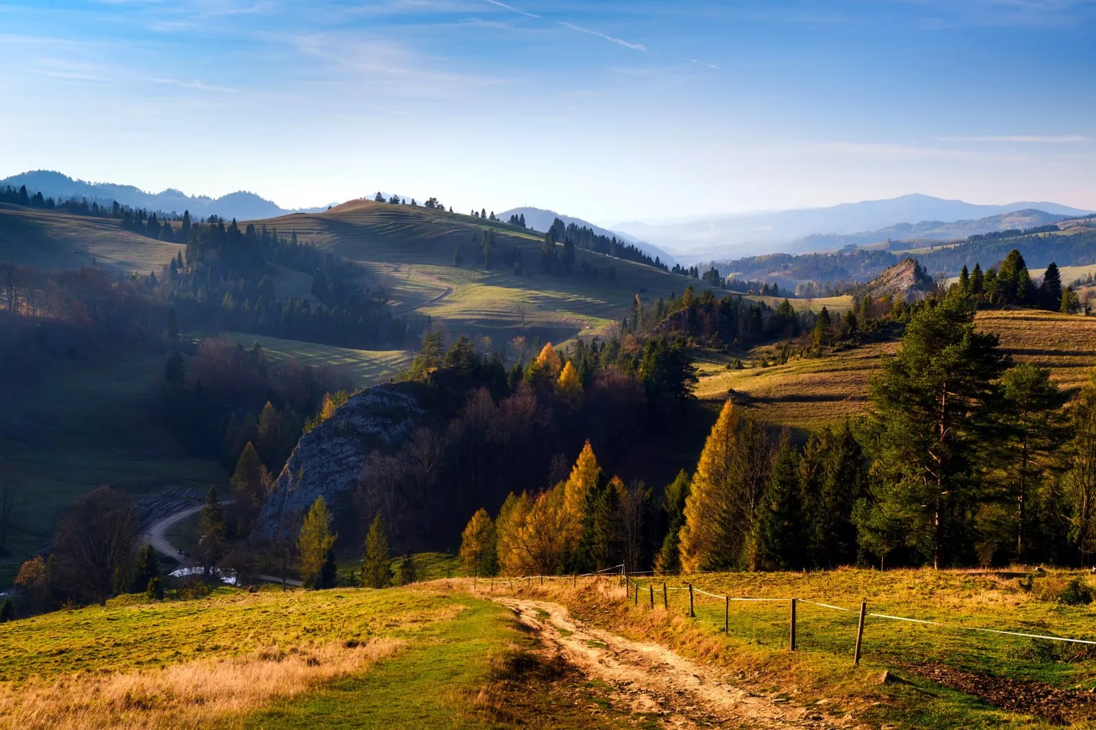 Rezerwat Biała Woda.webp