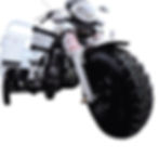 Miniatura: RHINO MAX200 MODELO 2026 (sin cabina)