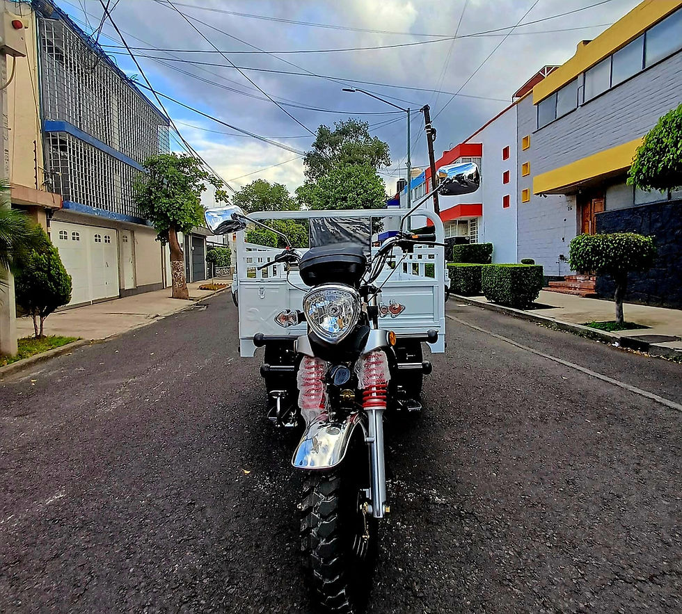 Miniatura: RHINO MAX200 BLANCO MODELO 2025 (sin cabina)