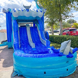 Dolphin Combo Bounce House - Splash Adventure Rentals - Miami Party Rental