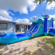Dolphin Combo Bounce House - Splash Adventure Rentals - Miami Party Rental