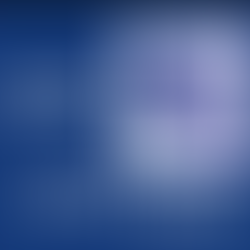 El Camino De... Lucio Feuillet