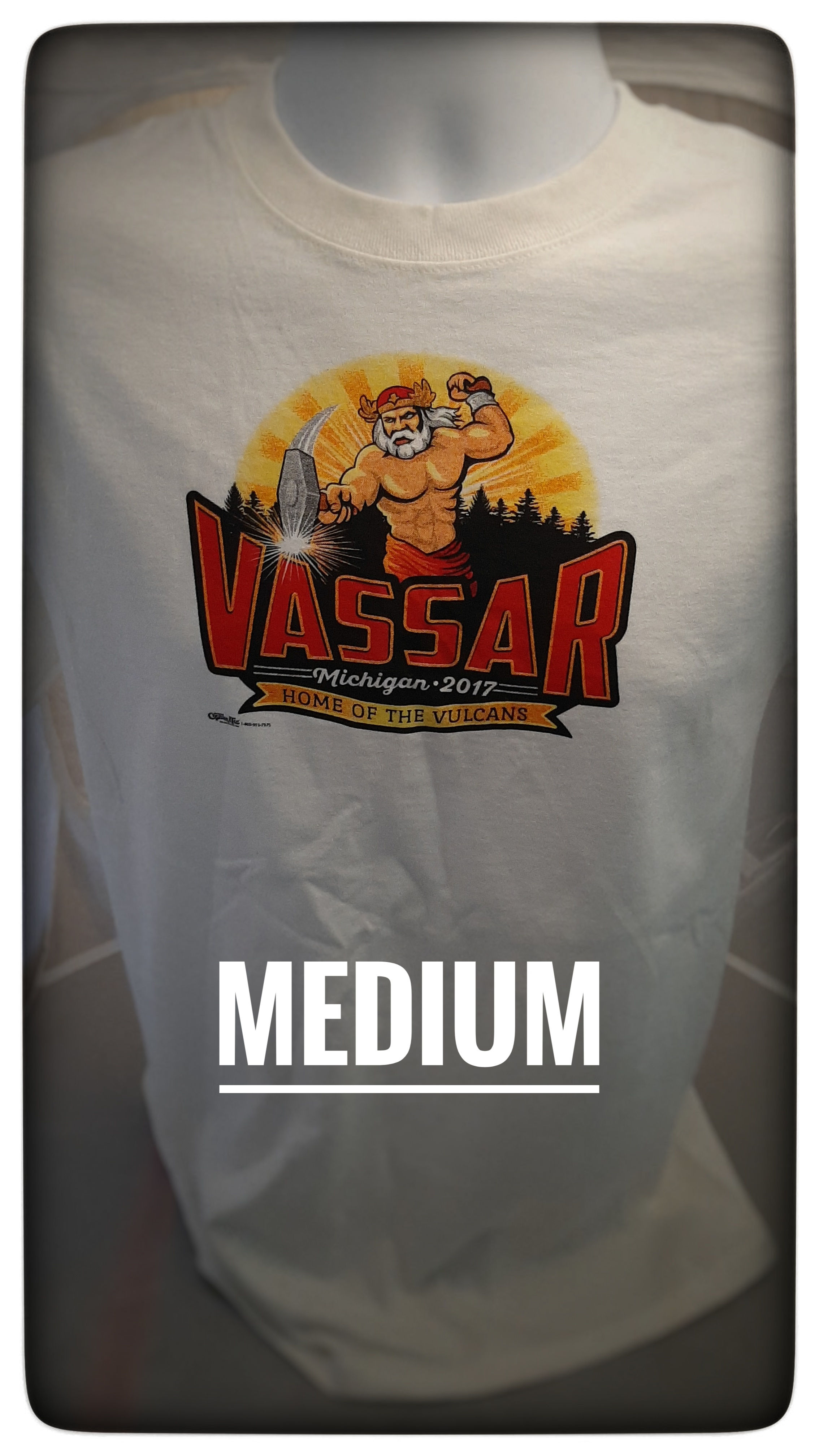 Vintage Vassar t-shirt