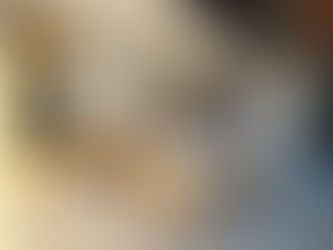 Réalisation blanc et bois