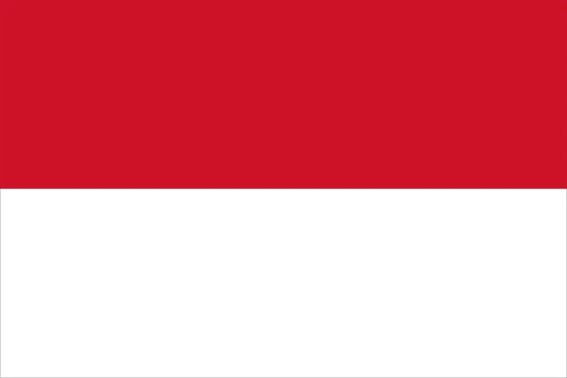 Indonesia flag