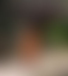 आश्वासन 