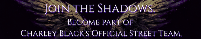 Street Team banner.png